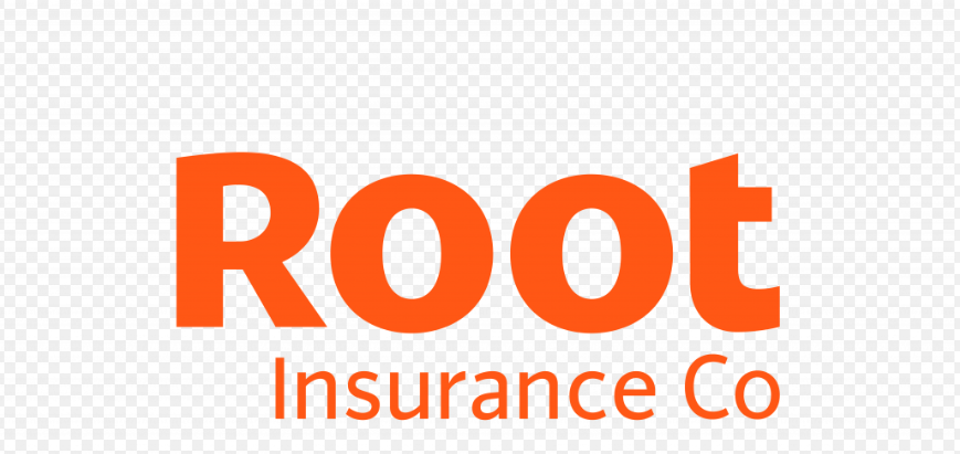 Root